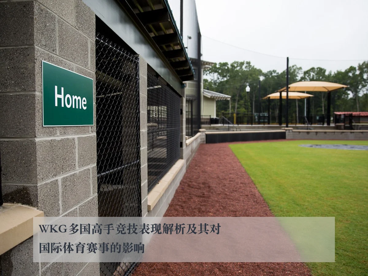 WKG多国高手竞技表现解析及其对国际体育赛事的影响